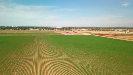 flying high and then low over rows and rows of farmland crops