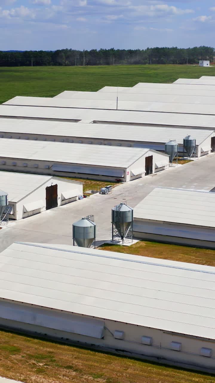 Farming facilities in rural area. Poultry farm for cattle growing. New and modern warehouses for agricultural needs. Vertical video
