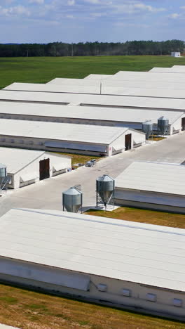 farming facilities in rural area. poultry farm for cattle growing. new and modern warehouses for agricultural needs. vertical video
