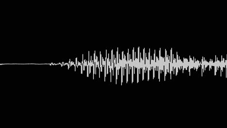 un simple efecto de visualización de audio blanco sobre negro