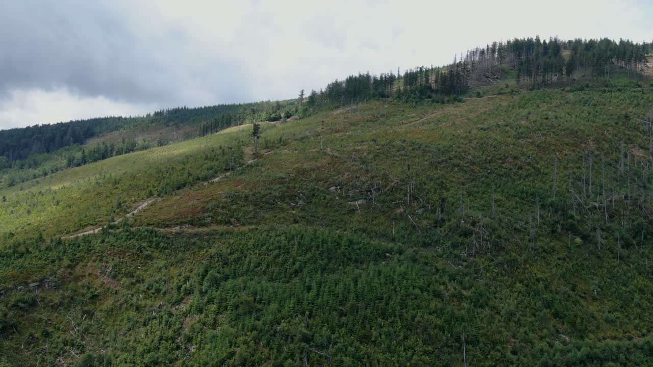 disparo aéreo lento con efecto de paralaje de un lado de la colina de la montaña con árboles en un día soleado volando rápido