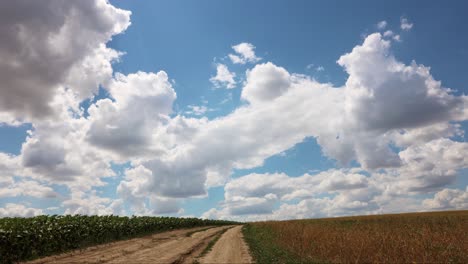 cloud movement in timelapse over agriculture field