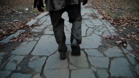 person walking on a cobblestone path in autumn