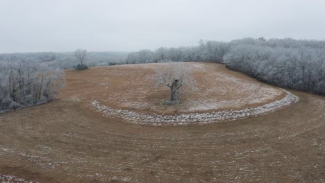paralaje aéreo alrededor de un solo árbol cubierto de hielo sobre tierras rurales