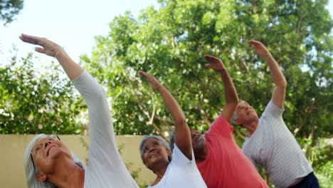 senior friends doing stretching exercise in garden 4k