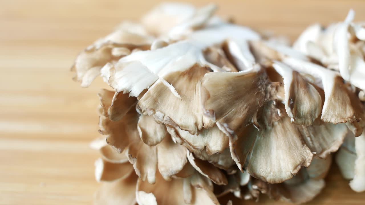 hongo negro sobre fondo blanco con espacio de copia ,