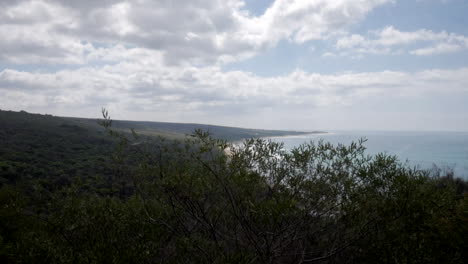 Malerischer-Küstenblick-Entlang-Der-Great-Ocean-Road-Australien