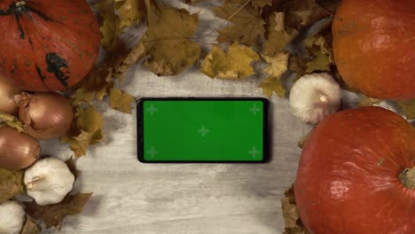 lady's hands put the cellphone at the table with pumpkins and takes it away