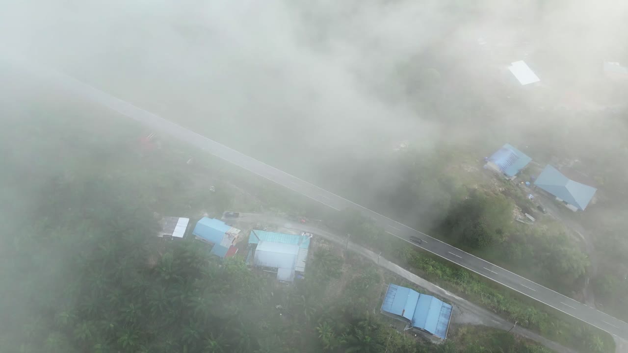 아리엘 드론 뷰 안개가 가득한 아침 해가 지고 푸른 숲이 세메파디 해안 도로 링크 사라와크, 보르네오에 있습니다.