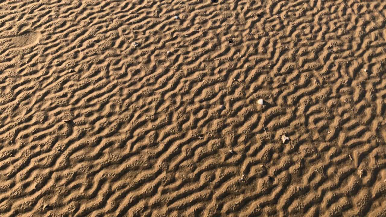 졸졸 흐르는 물, 파도, 갈매기로 만든 모래의 패턴 4k 30fps