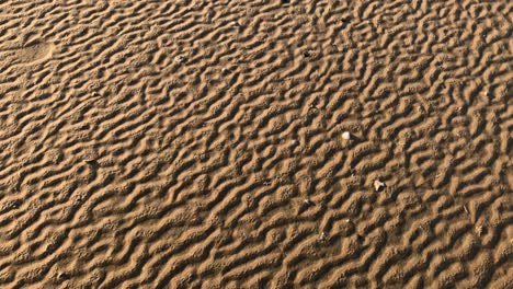 Patterns-in-the-sand-made-from-rippling-water,-waves,-and-seagulls-4K-30FPS