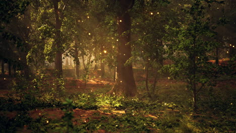 enchanted forest with glowing fireflies