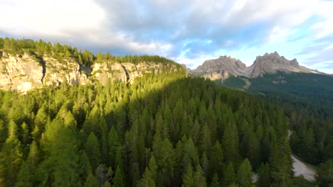 bosque alpino en la base de tres cime di lavaredo