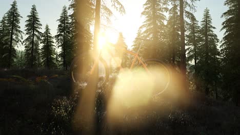 bicycle in mountain forest