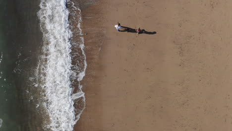 tomada de avión no tripulado de una familia de vacaciones con un padre e hijos caminando por la playa rompiendo olas