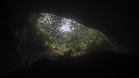 exploring a dark cave opening into a lush jungle