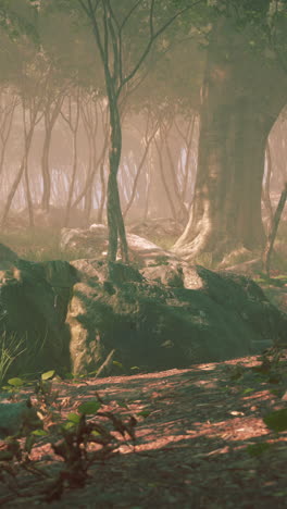un camino tranquilo en el bosque