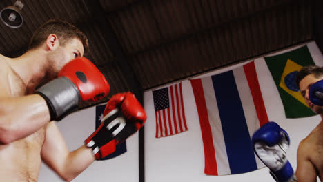 two boxers practicing in boxing ring