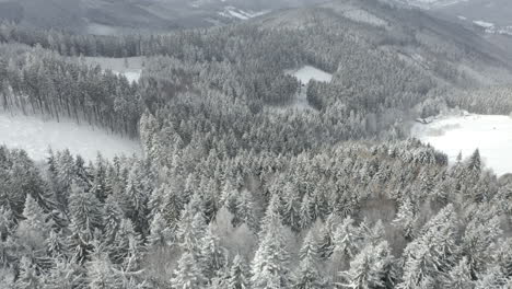 Volando-Sobre-El-Paisaje-Del-Bosque-De-Pinos-Nevados-En-Las-Montañas-Checas,-Disparo-De-Drones