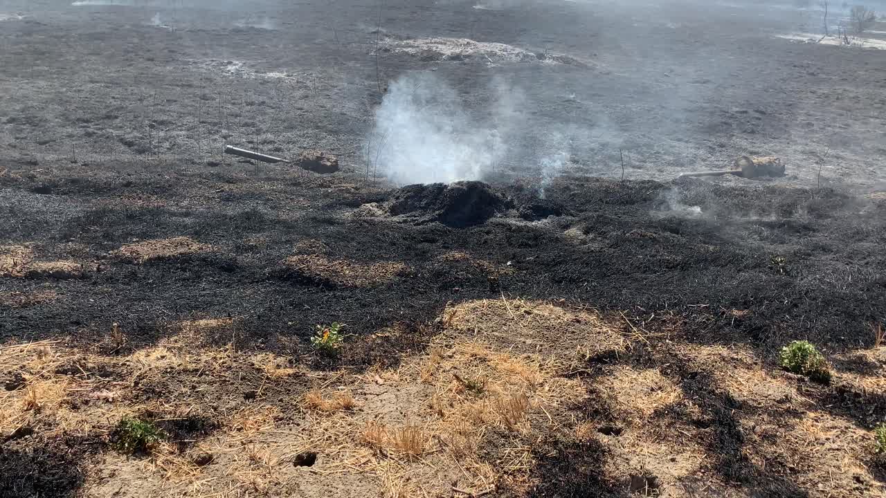 캘리포니아의 식물 화재로 인한 연기