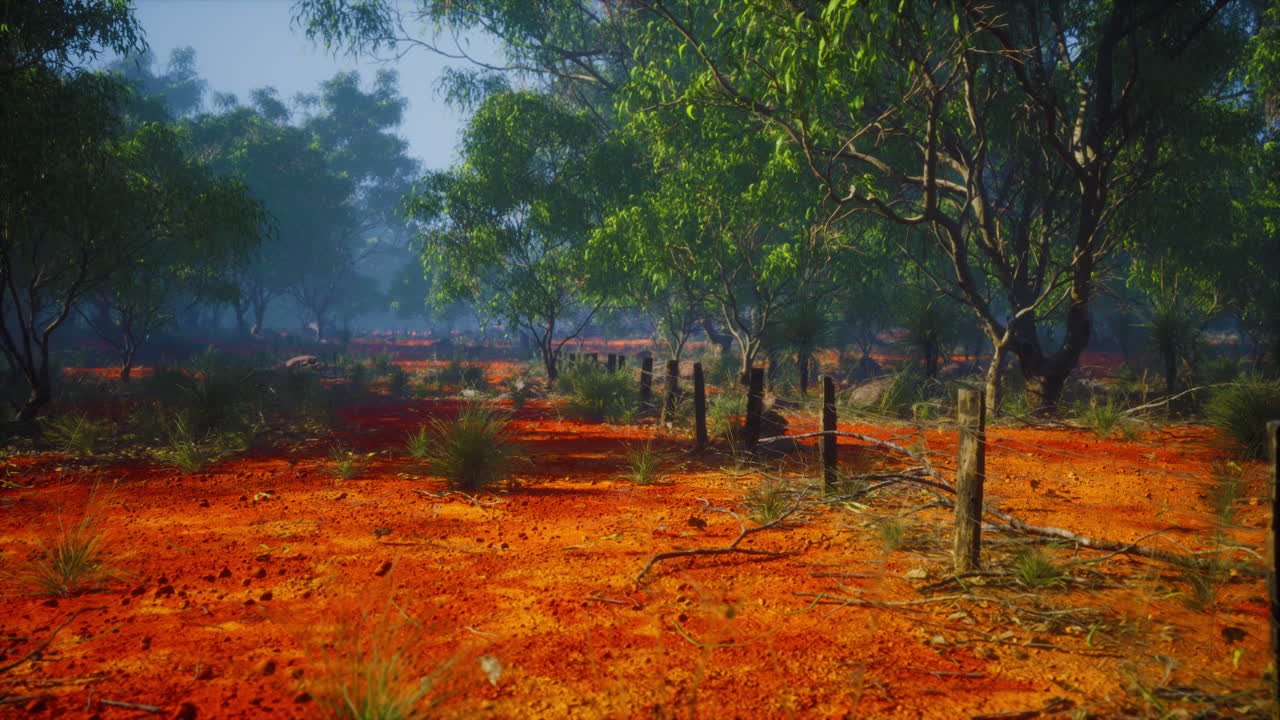 황폐 한 풍경 에 있는 가시 와이어 울타리