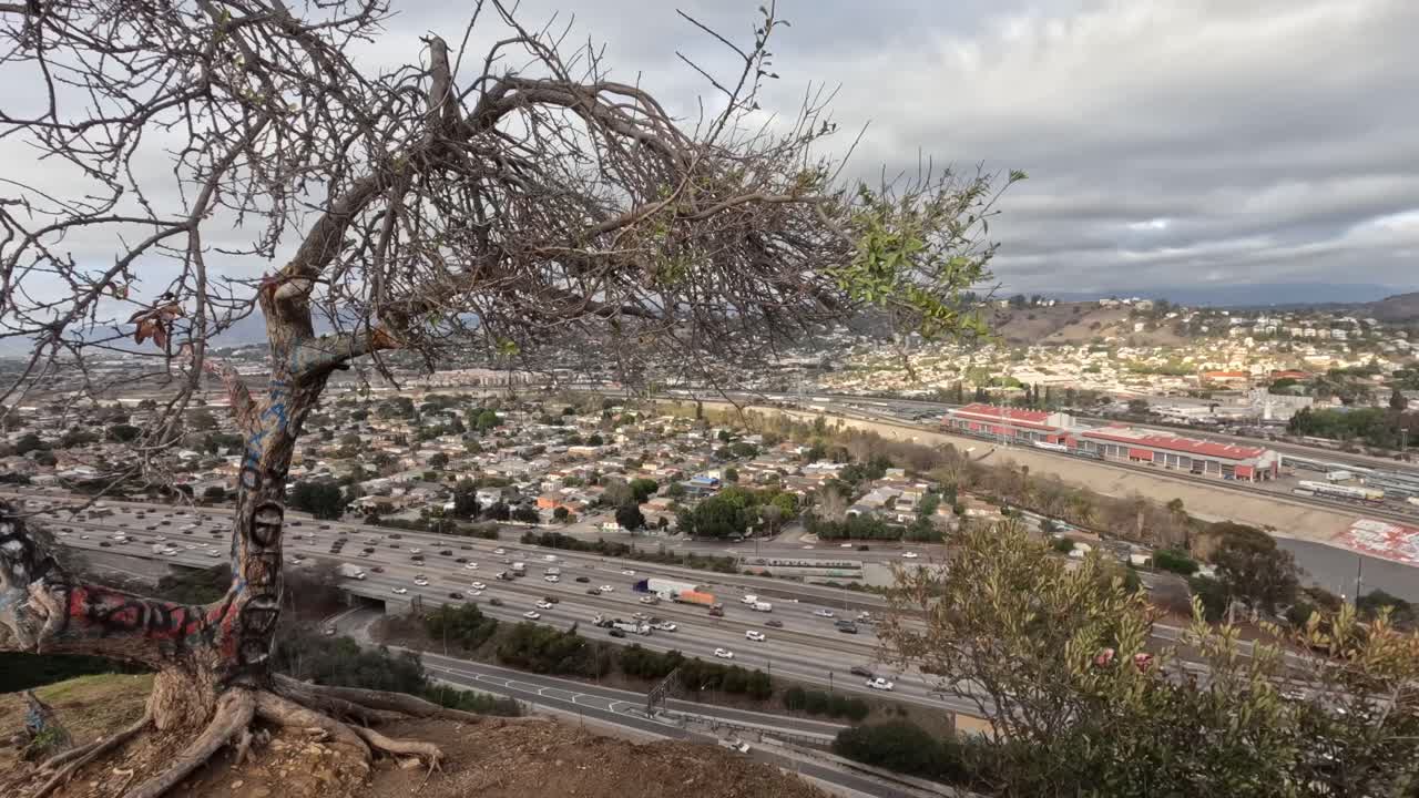 Time-lapse of a leafless tree silhouetted against a freeway and glowing sky, capturing traffic motion and shifting natural light in a peaceful blend of nature and city.