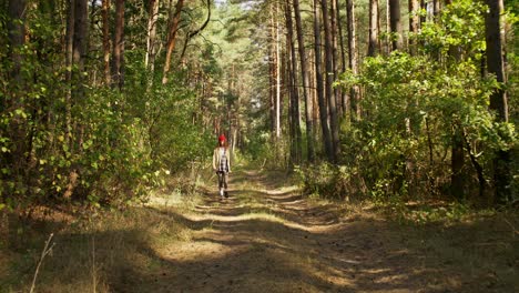 woman hiking in a pine forest