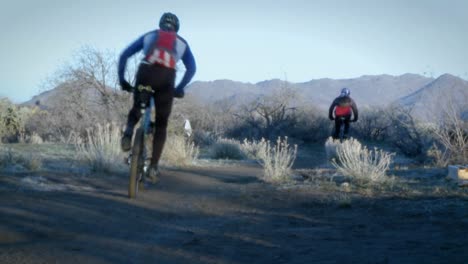 several bikers ride on a mountain trail