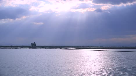 Hermosos-Reflejos-De-Luz-De-Los-Campos-De-Arroz-Y-Arrozales-Cerca-De-La-Albufera-De-España-1