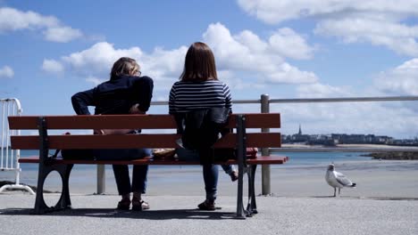 two women relaxing on a bench by the beach