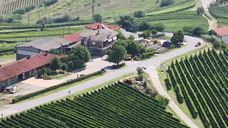 scenic landscape with houses and vineyards