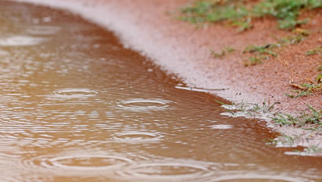 gotas de lluvia salpicando en el charco de barro de la carretera de tierra rural africana, tiro apretado