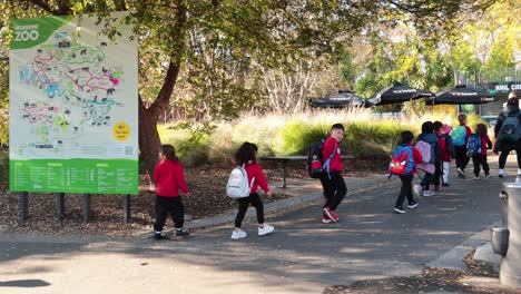 children exploring melbourne zoo on a sunny day