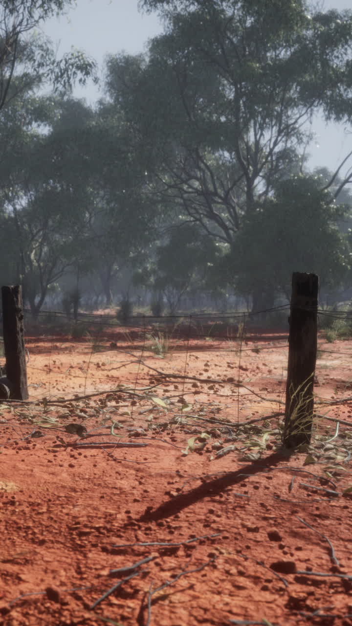 울타리와 함께 은  외