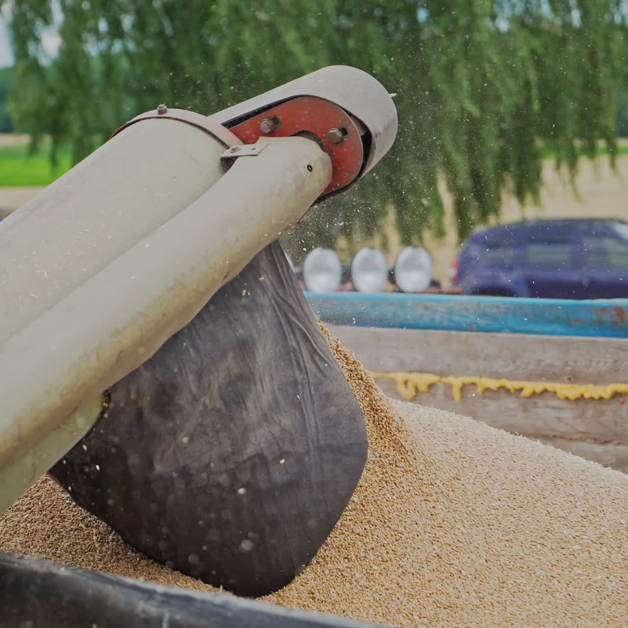 Grain harvesting equipment in the field. Harvest time. Agricultural sector