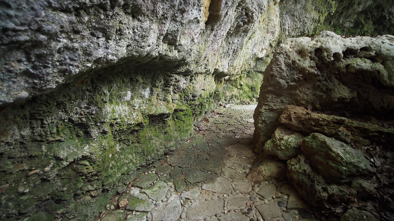Ancient Stone Pathway Winding Through a Green Mossy Cave