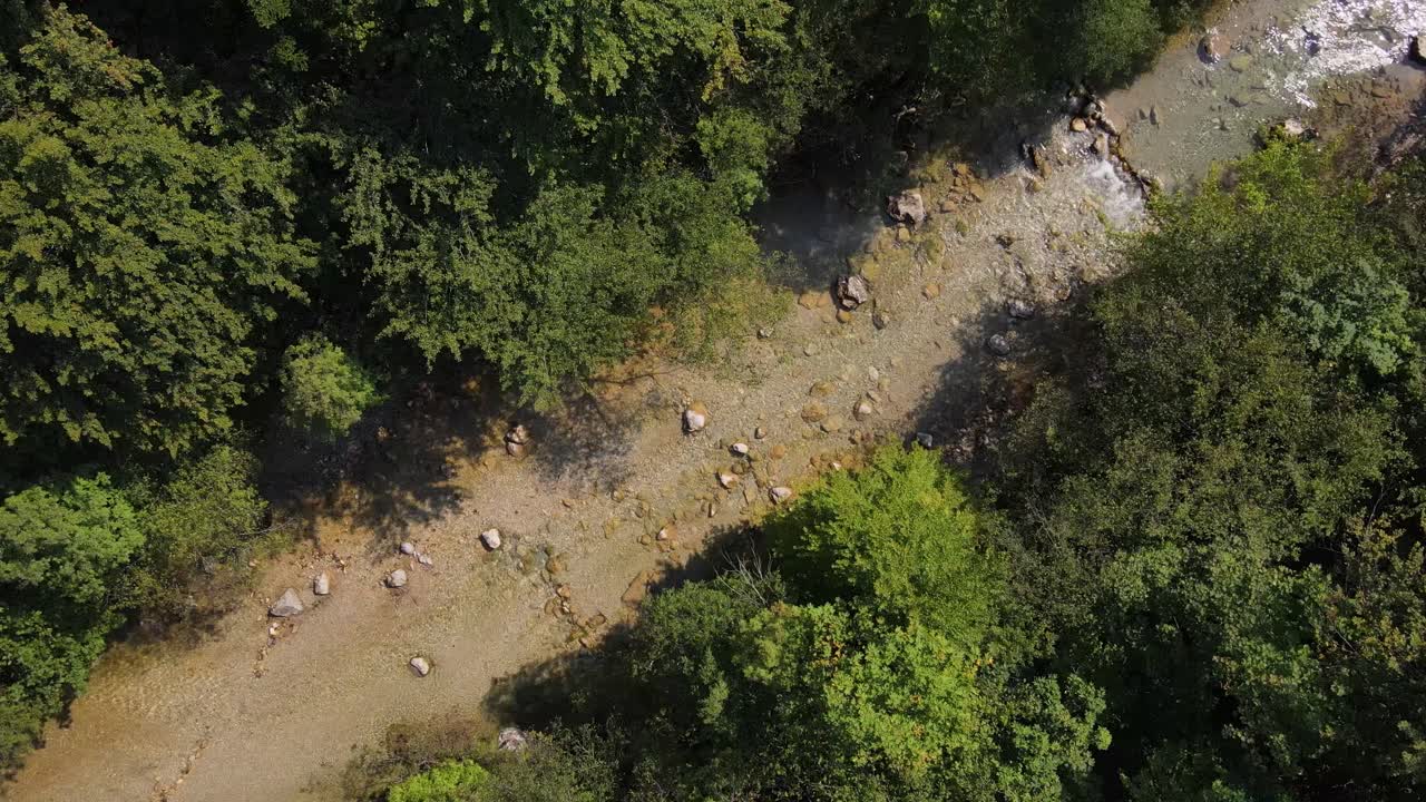 pequeño río en medio del bosque