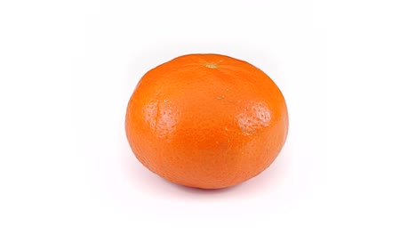 mandarin orange spinning seamless