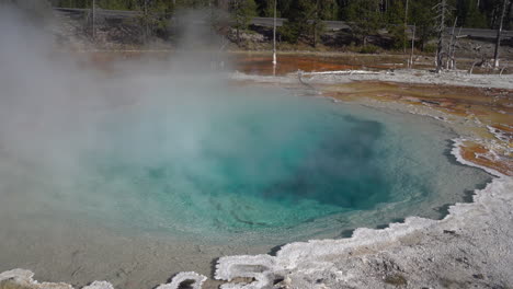 parque nacional de yellowstone wyoming estados unidos