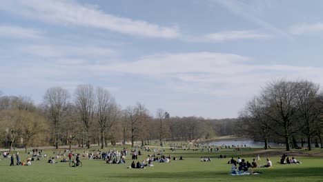 Grupo-De-Personas-Haciendo-Un-Picnic-En-La-Hierba-Verde-Del-Parque-Bois-De-La-Cambre-Cerca-Del-Bosque-Sonian-En-Bruselas,-Bélgica