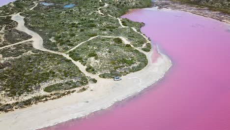 aerial of car on shore of pink lake, blue ocean revealed in background, pan tilt