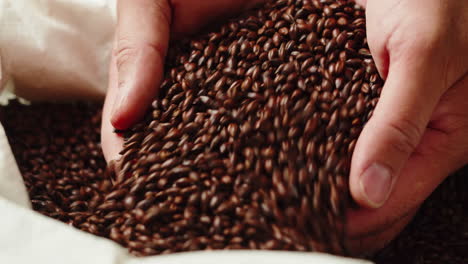 hands holding and pouring barley