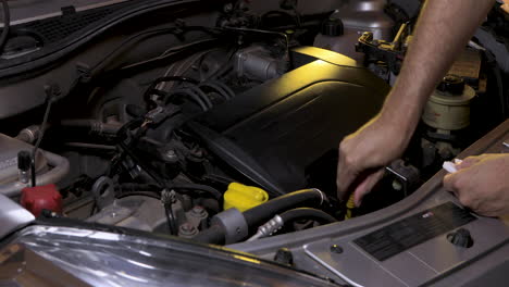 placing the dipstick on the engine, preventive maintenance