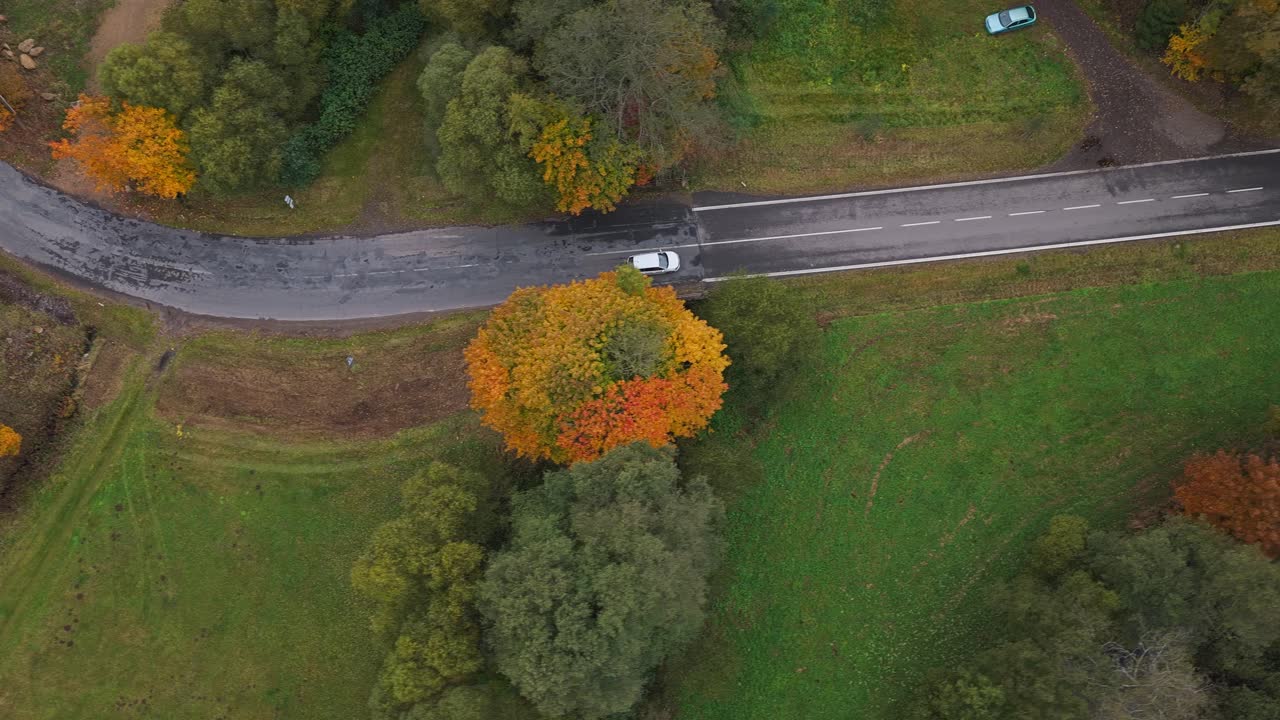 Traveling by car on a winding road in autumn nature. Colorful leaves on the trees are falling