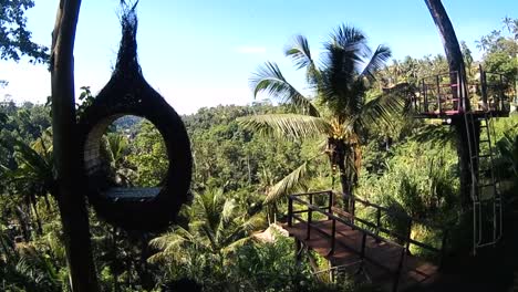 swings in the tropical forest, bali