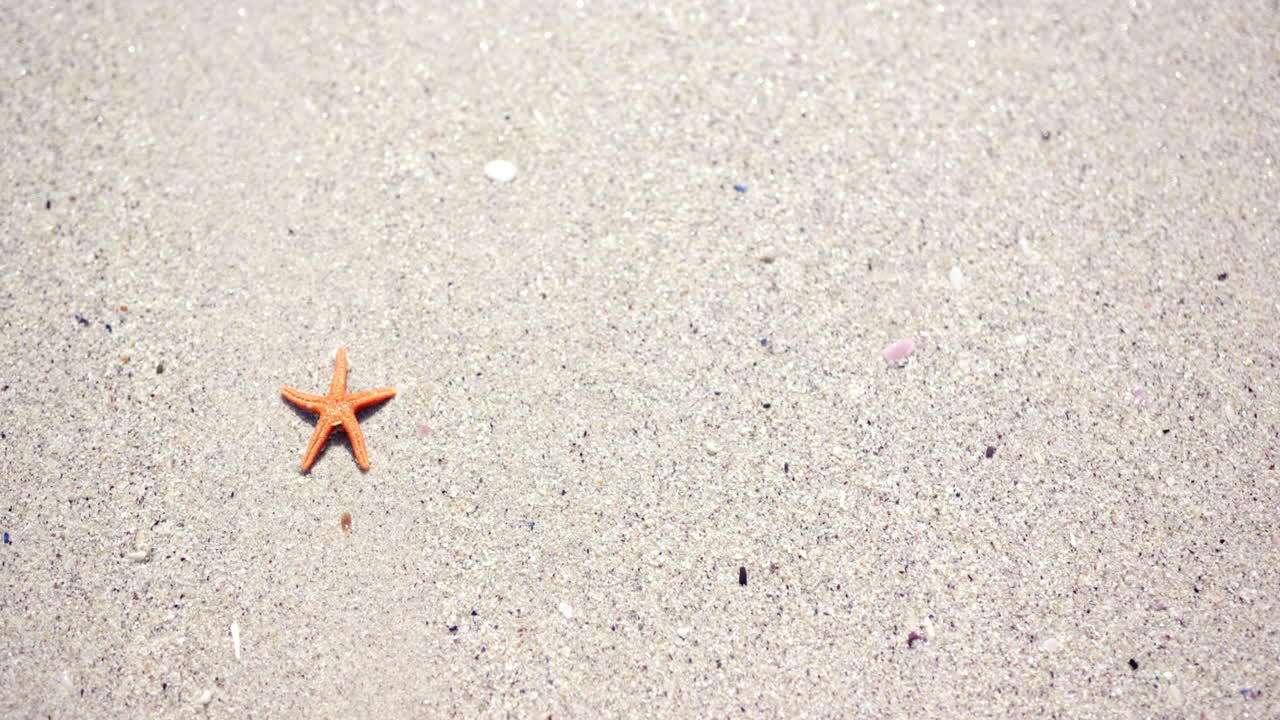 A lone orange starfish rests on a sandy beach, creating a serene tableau with copy space