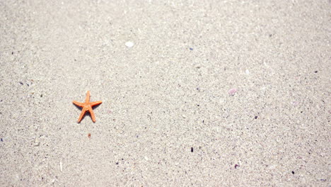 Ein-Einsamer-Orangefarbener-Seestern-Ruht-Auf-Einem-Sandstrand-Und-Schafft-Ein-Ruhiges-Tableau-Mit-Platz-Für-Kopien