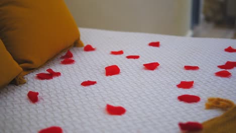 close up, rose leaves laying on clean bed