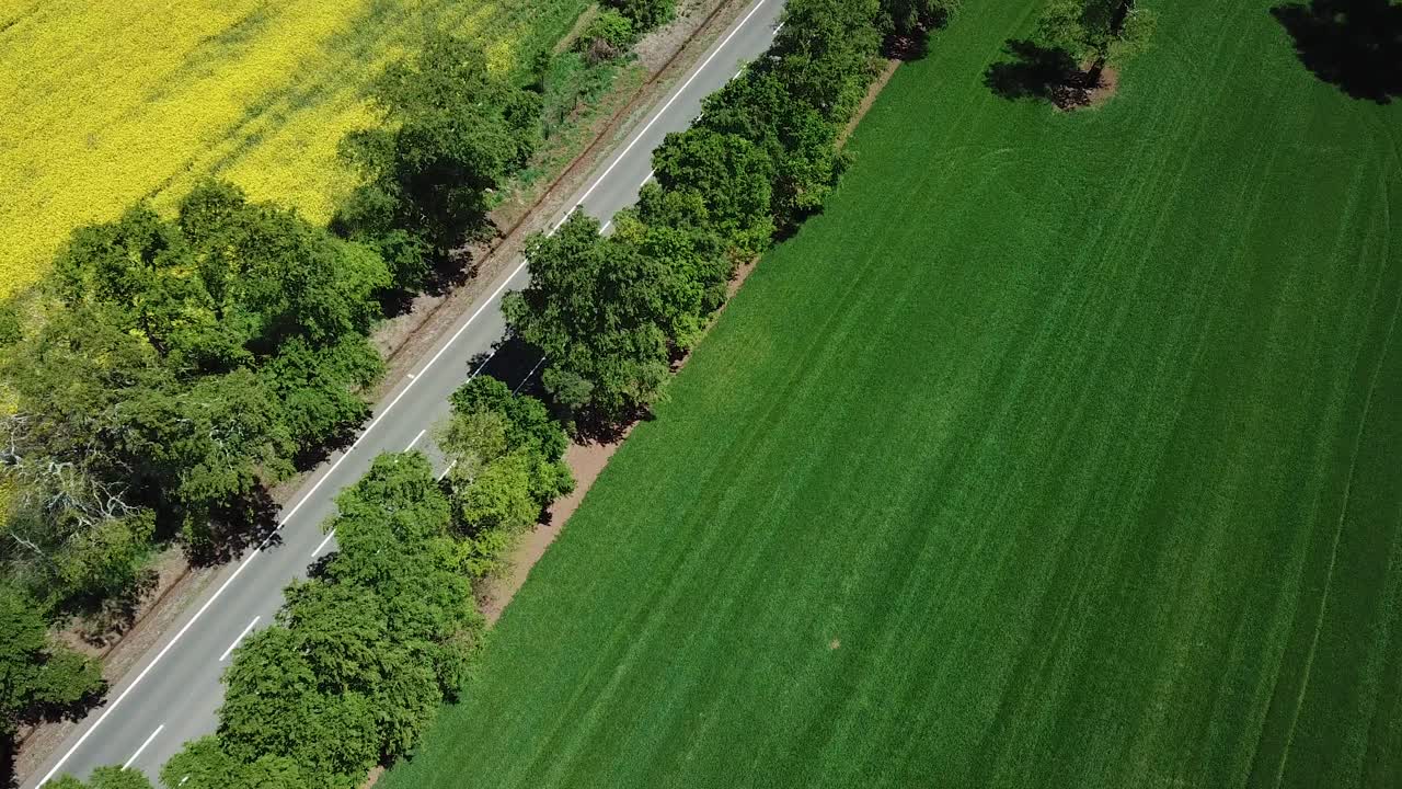 Picturesque Landscape of Chile. Drone Aerial View of Green Yellow Agricultural Fields, Meadow and Canola Oil Plantation