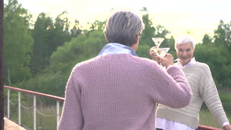 a group of three senior women toasting, smiling and drinking